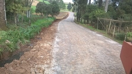 Fotos