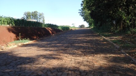 Fotos