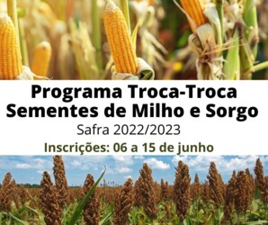 Fotos