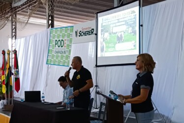 Fotos