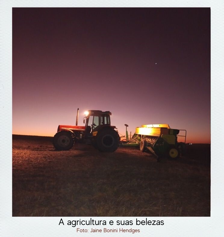 Foto vencedora do concurso
