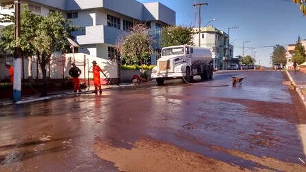 Fotos